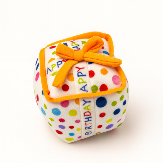 🎁 Birthday Present – Juguete de Peluche para Cumpleaños 🐾
