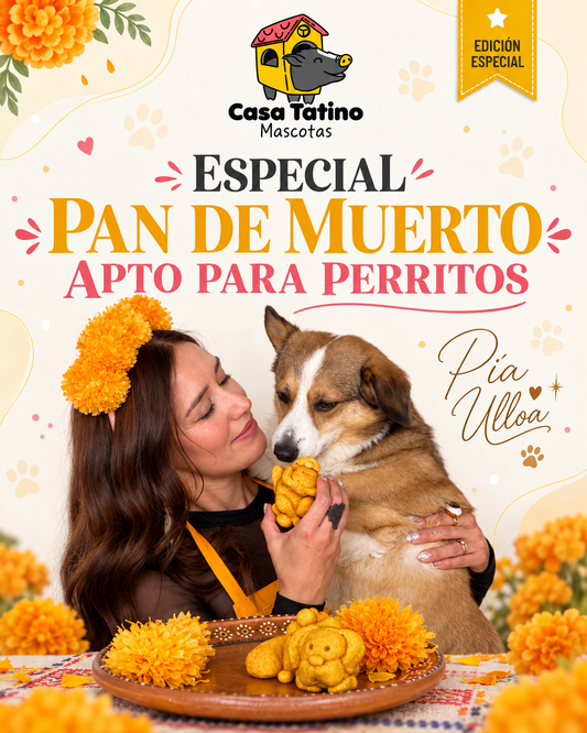 Pan de Muerto Apto Para Perritos
