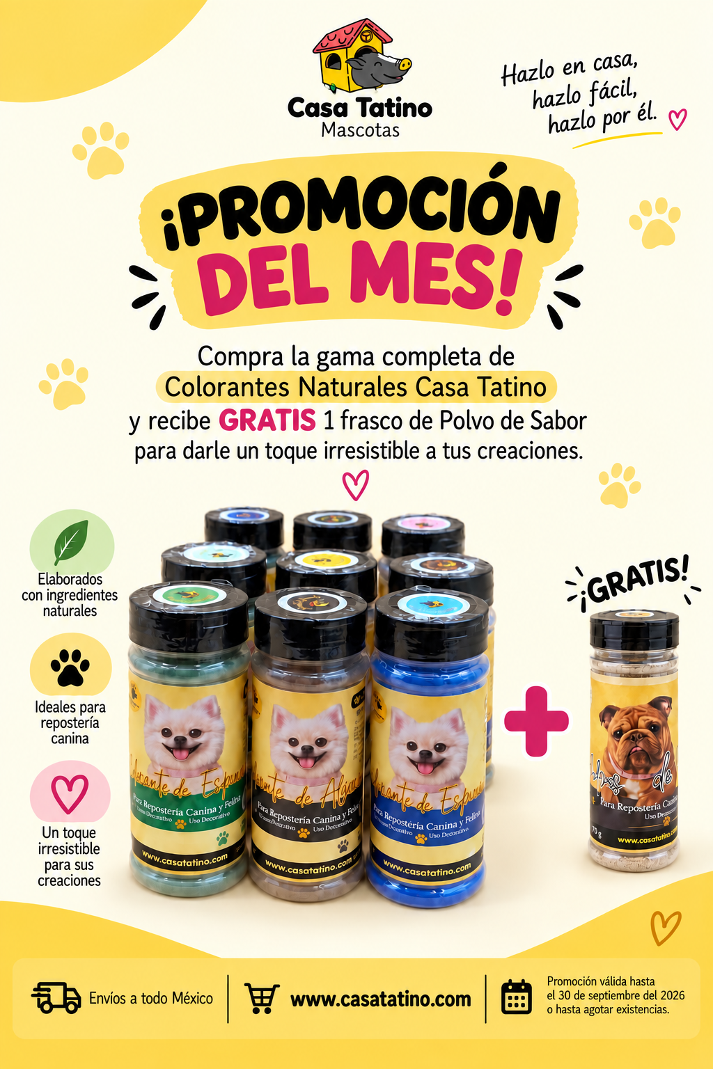 Gama Completa de Colorantes + 1 Frasco de Polvos de Sabor